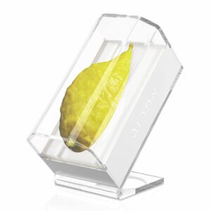 Lucite Esrog Display Box