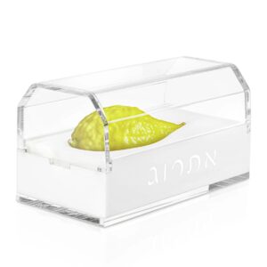 Lucite Esrog Box